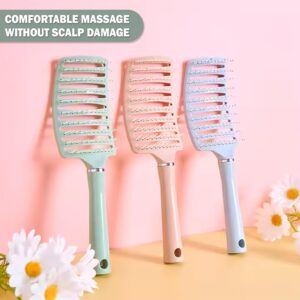 Portable Detangling Hair Brush Pack of 3, Curly & Straight Hair Brush for Women & Men Accessories Use in Salon, Home & Personal Use